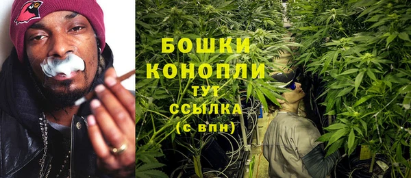 дмт Кинешма