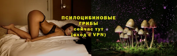 дмт Кинешма
