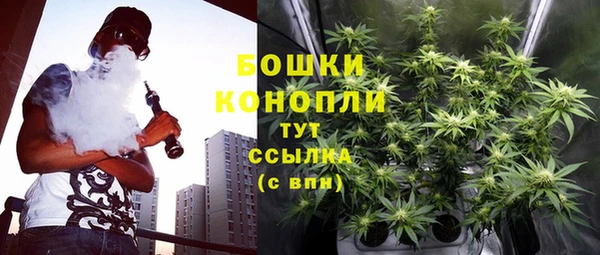 дмт Кинешма