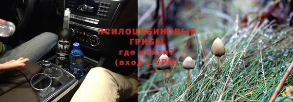 a pvp Киренск