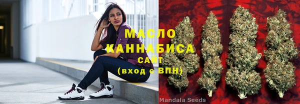 дмт Кинешма