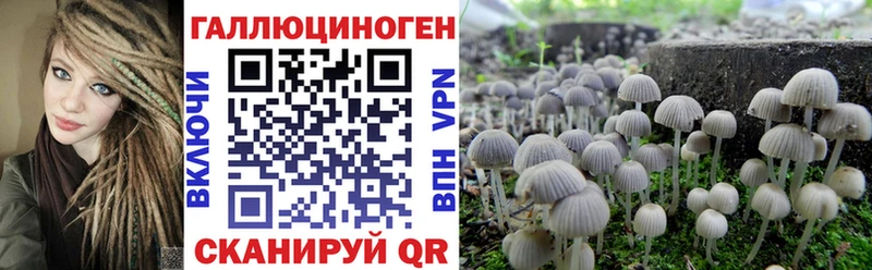 Купить где  Мамоново  Галлюциногенные грибы мицелий 